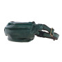 Стильная напоясная сумка Ashwood D102 (Green)