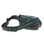 Стильная напоясная сумка Ashwood D102 (Green)