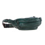 Стильная напоясная сумка Ashwood D102 (Green)