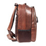 Чоловічий шкіряний рюкзак коричневого Ashwood Leather 4555 Tan
