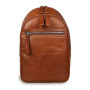 Чоловічий шкіряний рюкзак світло-коричневого Ashwood Leather 1663 Chestnut