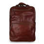 Коричневий чоловічий рюкзак зі свинячої шкіри Ashwood Leather Jordan Chestnut