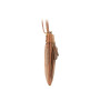 Жіноча шкіряна сумочка Visconti 18608 OIL TAN